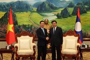 ການນຳຂັ້ນສູງ ສປປ ລາວ ຕ້ອນຮັບຄະນະຜູ້ແທນ ຂັ້ນສູງ ສສ ຫວຽດນາມ