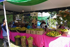 ເມືອງນໍ້າບາກ ຈະສູ້ຊົນ ເຮັດ​ໃຫ້ GDP ​​ບັນ​ລຸ 1.605,17 ຕື້ກີບ