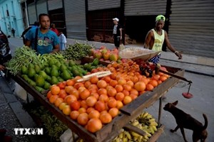 ອັດຕາເງິນເຟີ້ຂອງກູບາ ໃນເດືອນມິຖຸນາຜ່ານມາສູງກວ່າ 30%