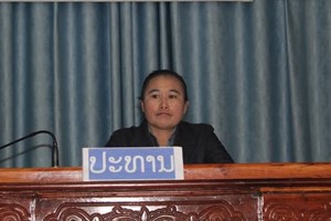 ວຽງພູຄາ ລະນຶກວັນສາກົນຢຸດຕິການໃຊ້ຄວາມຮຸນແຮງຕໍ່ແມ່ຍິງ ແລະ ເດັກນ້ອຍ