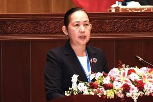 ສະພາ ສະເໜີຫຼາຍບັນຫາ ຕໍ່ ຮ່າງວິໃສທັດ ແລະ ແຜນຍຸດທະສາດ ຄຸ້ມຄອງ-ພັດທະນາທີ່ດິນກະສິກຳ