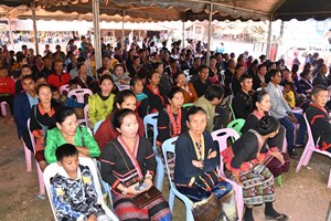 ງານບຸນເກີຣ ບ້ານ ນາແວນ ເມືອງ ພຽງ