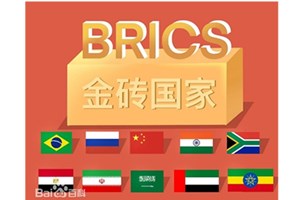 ການພົວພັນການຄ້າລະຫວ່າງຈີນ ແລະບັນດາປະເທດBRICSນັບມື້ນັບແໜ້ນແຟ້ນຂຶ້ນ