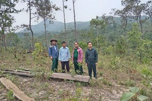 ເອົາໃຈໃສ່ ສະກັດກັ້ນ ການທໍາລາຍປ່າ ເຂດອຸທິຍານແຫ່ງຊາດພູເຂົາຄວາຍ