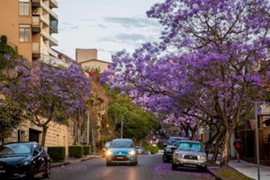 ຊາວອົສຕຣາລີ ຂັບລົດໜ້ອຍລົງເນື່ອງຈາກລາຄານ້ຳມັນເພີ່ມສູງຂຶ້ນ