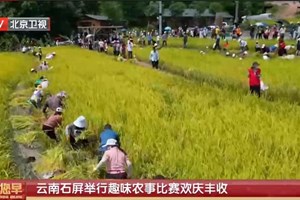 ເມືອງສືຜິງ ແຂວງຢຸນນານ ຈັດກິດຈະກຳແຂ່ງຂັນ ກ່ຽວກັບກະສິກໍາ