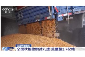 ຈີນສຳເລັດການເກັບຊື້ທັນຍາຫານໃນລະດູໃບໄມ້ຫຼົ່ນປີ 2023 ຫຼາຍກວ່າ 80%