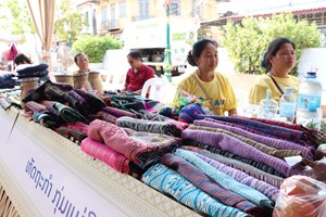 ອົງການຈັດຕັ້ງສັງຄົມລາວ ຈັດງານວາງສະແດງຜົນງານ ແລະ ຜະລິດຕະພັນຂອງຕົນ