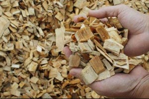 ເດືອນຕຸລາ ເປັນອີກໜຶ່ງເດືອນທີ່ ສປປ ລາວ ຂາດດຸນການຄ້າໃນປີນີ້