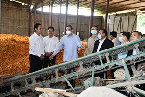 ນາຍົກລັດຖະມົນຕີ ຢ້ຽມຢາມຟາມລ້ຽງໝູ ແລະ ໂຮງງານແປ້ງມັນຕົ້ນ ຢູ່ເມືອງໄຊຍະບູລີ