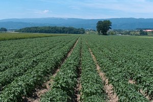 ນະໂຍບາຍແຫ່ງຊາດ ວ່າດ້ວຍການສົ່ງເສີມການປູກພືດ ວາງເປົ້າໝາຍ  ມູນຄ່າການສົ່ງອອກຮອດປີ 2030 ບໍ່ໃຫ້ຫຼຸດ 1,5 ຕື້ໂດລາ