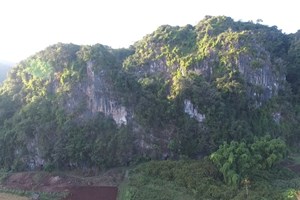 ການກຳເນີດທະນາຄານ