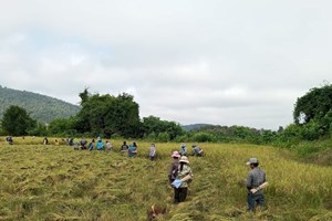 ເສດຖະກີດເມືອງພຽງ ດີຂຶ້ນເປັນລໍາດັບ