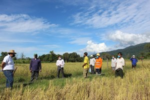 ພະແນກກະສິກໍາ-ປ່າໄມ້ ບໍລິຄໍາໄຊຕັ້ງໜ້າປະຕິບັດວາລະແຫ່ງຊາດ ປີ 2023