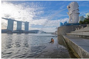 ປີຜ່ານມາພາກຄົວເຮືອນສິງກະໂປໃຊ້ນ້ຳຫຼຸດລົງ