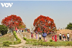 ພິທີສະເຫຼີມສະຫຼອງ 70 ປີ ໄຊຊະນະດຽນບຽນຝູ້ ສ້າງລາຍຮັບໃຫ້ຂະແໜງທ່ອງທ່ຽວແຂວງດຽນບຽນ