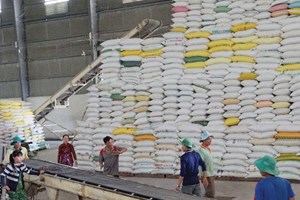 ການສົ່ງອອກເຂົ້າສານ ຫວຽດນາມ ບັນລຸລະດັບສູງສຸດ