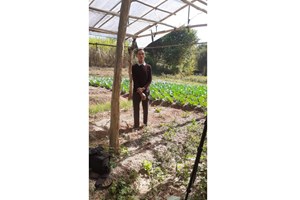 ປູກພືດຜັກຂາຍພາຄອບຄົວຫຼຸດພົ້ນອອກຈາກຄວາມທຸກຍາກ