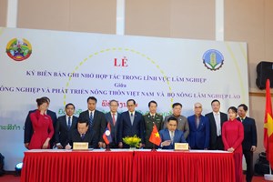 ລາວ-ຫວຽດນາມ ສືບຕໍ່ເພີ່ມທະວີການຮ່ວມມືດ້ານວຽກງານປ່າໄມ້