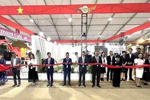 ທ່າແຮງຕະຫຼາດສົ່ງອອກກາເຟ ຫວຽດນາມ