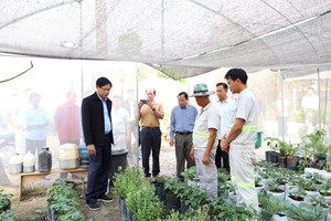 ອະດີດນາຍົກລັດຖະມົນຕີ ຢ້ຽມຢາມໂຄງການພັດທະນາ ແລະ ປັບປຸງແກ້ໄຂຄວາມທຸກຍາກ ຢູ່ເມືອງທ່າແຂກ