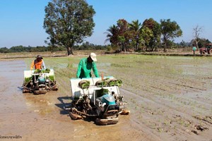 ນໍາໃຊ້ເຕັກນິກ-ເຕັກໂນໂລຊີ ເພື່ອຍົກສູງສະມັດຖະພາບຂອງຜົນຜະລິດ