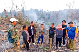 ແກ້ໄຂບັນຫາການບຸກລຸກຖາງປ່າ ແລະ ຈູດປ່າ ເຮັດໄຮ່-ສວນ ໄດ້ 3,5 ເຮັກຕາ