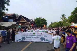 ແຫ່ຊ້າງຮຽງເກີຍ ຕິດພັນກັບການສະຫຼອງປີທ່ອງທ່ຽວລາວ ຢູ່ແຂວງຫຼວງພະບາງ ຄຶກຄື້ນຫຼາຍໃນປີນີ້