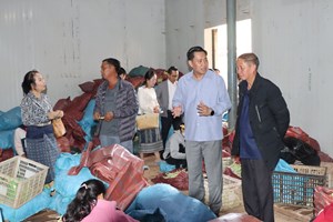 ຫົວຫນ້າຫ້ອງວ່າການສໍານັກງານນາຍົກລັດລັດຖະມົນຕີ ເຄື່ອນໄຫວຊຸກຍູ້ການຜະລິດຢູ່ຫຼ້າ