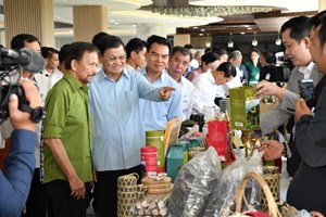 ການນໍາຂັ້ນສູງ ລາວ-ບຣູໄນ ເດີນທາງຊົມທີວທັດທໍາມະຊາດ ແລະ ສິນຄ້າກະສິກໍາ ທີ່ ເມືອງວັງວຽງ