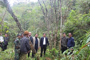 ສຳຫຼວດຈຸດເລີ່ມຕົ້ນເຂດທີ່ໝັ້ນການປະຕິວັດລາວໃຕ້ຢູ່ເມືອງດາກຈຶງເພື່ອກຽມລົງມືກໍ່ສ້າງ