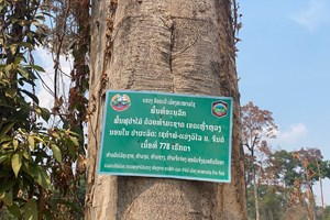 ຜົນສໍາເລັດບາງດ້ານໃນການຄຸ້ມຄອງ,ປົກປັກຮັກສາປ່າໄມ້ໃນປີ 2023 ຜ່ານມາໂດຍ:ວັນໄຊ ຕະວິນຍານ