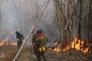 ສູນຝຶກອົບຮົມກອງພົນທີ 3 ຊ່ວຍເຫຼຶ່ອປະຊາຊົນແກ້ໄຂໄພພິບັດ.