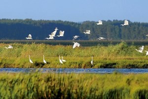 ນາຍົກຈີນລົງນາມໃນຄຳສັ່ງວ່າດ້ວຍການຕອບແທນຕໍ່ການອະນຸລັກສິ່ງແວດລ້ອມນິເວດ