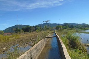 ໃນໄລຍະກາງສະໄໝການຜະລິດພືດກະສິກໍາ ໄຊຍະບູລີເພີ່ມຂຶ້ນຢ່າງຕໍ່ເນື່ອງ