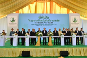 ນາຍົກລັດຖະມົນຕີໃຫ້ກຽດເຂົ້າຮ່ວມພິທີເປີດໂຮງງານຜະລິດແປ້ງມັນຕົ້ນທີ່ເມືອງນານ