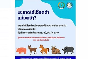 ພະຍາດໄຂ້ເລືອດດໍາເປັນພະຍາດຕິດຕໍ່ຮ້າຍແຮງສາມາດເຮັດໃຫ້ຄົນເສຍຊີວິດໄດ້