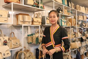 ສິນຄ້າໜຶ່ງເມືອງໜຶ່ງຜະລິດຕະພັນສ້າງລາຍຮັບ200ລ້ານກວ່າກີບ/ເດືອນ