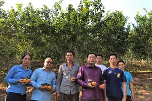 ຄອບຄົວຕົວແບບປູກໝາກກ້ຽງຂາຍ ອາດເປັນແຮງຈູງໃຈໃຫ້ຊາວບ້ານແກ່ງ