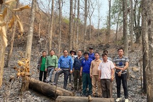 ປ່າໄມ້ ຊັບພະຍາກອນອັນລໍ້າຄ່າຂອງຊາດ ທີ່ພັກ-ລັດຖະບານ ເພີ່ມຄວາມເອົາໃຈໃສ່ປົກປ້ອງ