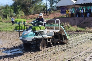 ບໍລິຄຳໄຊສາທິດການນຳໃຊ້ ເຄື່ອງກົນຈັກການກະເສດ ເຂົ້າໃນການປູກເຂົ້ານາແຊງ