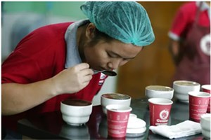 ປີນີ້ມຽນມາ ຄາດວ່າຈະສົ່ງອອກກາເຟເຖິງ2.000 ໂຕນ