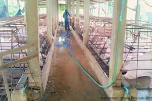 ແຮງງານ ແມ່ນປັດໄຈສຳຄັນທີ່ສຸດຂອງຕ່ອງໂສ້ການຜະລິດສັດ ແລະ ສັດນໍ້າ