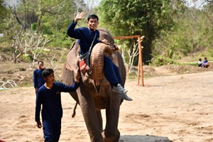 ແຫຼ່ງທ່ອງທ່ຽວສູນອານຸລັກ ແລະ ຂະຫຍາຍພັນຊ້າງອາຊີ ພູແຂນເປີດໃຫ້ບໍລິການແລ້ວ