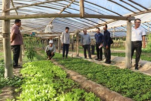 ປັດຈຸບັນຄໍາມ່ວນປະຕິບັດແຜນປູກພືດລະດູແລ້ງໄດ້ແລ້ວ 4.847 ເຮັກຕາ