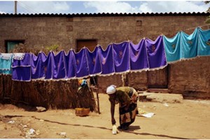 ພະຍາດອະຫິຫວາລະບາດໃນແຊມບີ