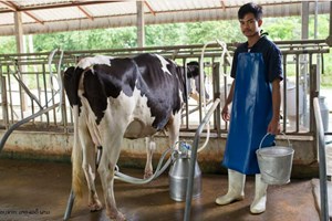 ຍົກເວັ້ນພາສີ-ອາກອນຫຼາຍຢ່າງ ໃນນະໂຍບາຍດ້ານພະລັງງານ ເຕັກໂນໂລຊີ ແລະ ສິ່ງແວດລ້ອມ ເພື່ອສົ່ງເສີມການລ້ຽງສັດ ແລະ ສັດນໍ້າ 