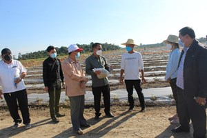 ປີ 2023 ທ່າພະບາດ ເສດຖະກິດຍັງສືບຕໍ່ຂະຫຍາຍຕົວ