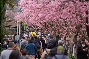 ເດືອນຜ່ານມາຈຳນວນນັກທ່ອງທ່ຽວຕ່າງປະເທດເດີນທາງໄປຍີ່ປຸ່ນເພີ່ມຂຶ້ນ 79,5%