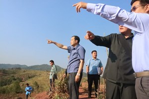 ການນໍາແຂວງຜົ້ງສາລີ ຕິດຕາມຊຸກຍູ້ການຟາມລ້ຽງສັດ